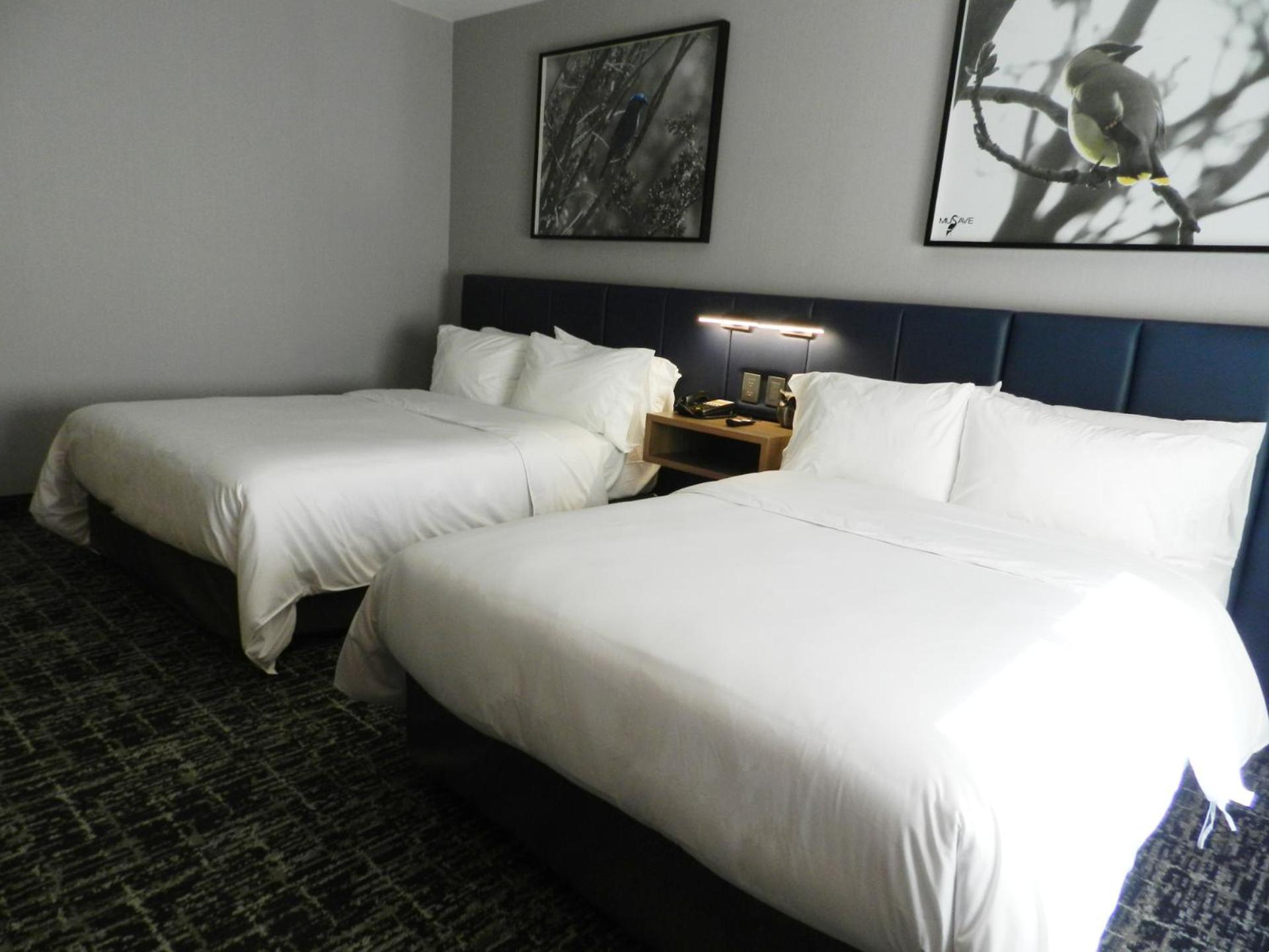 Voco Saltillo Suites By Ihg エクステリア 写真