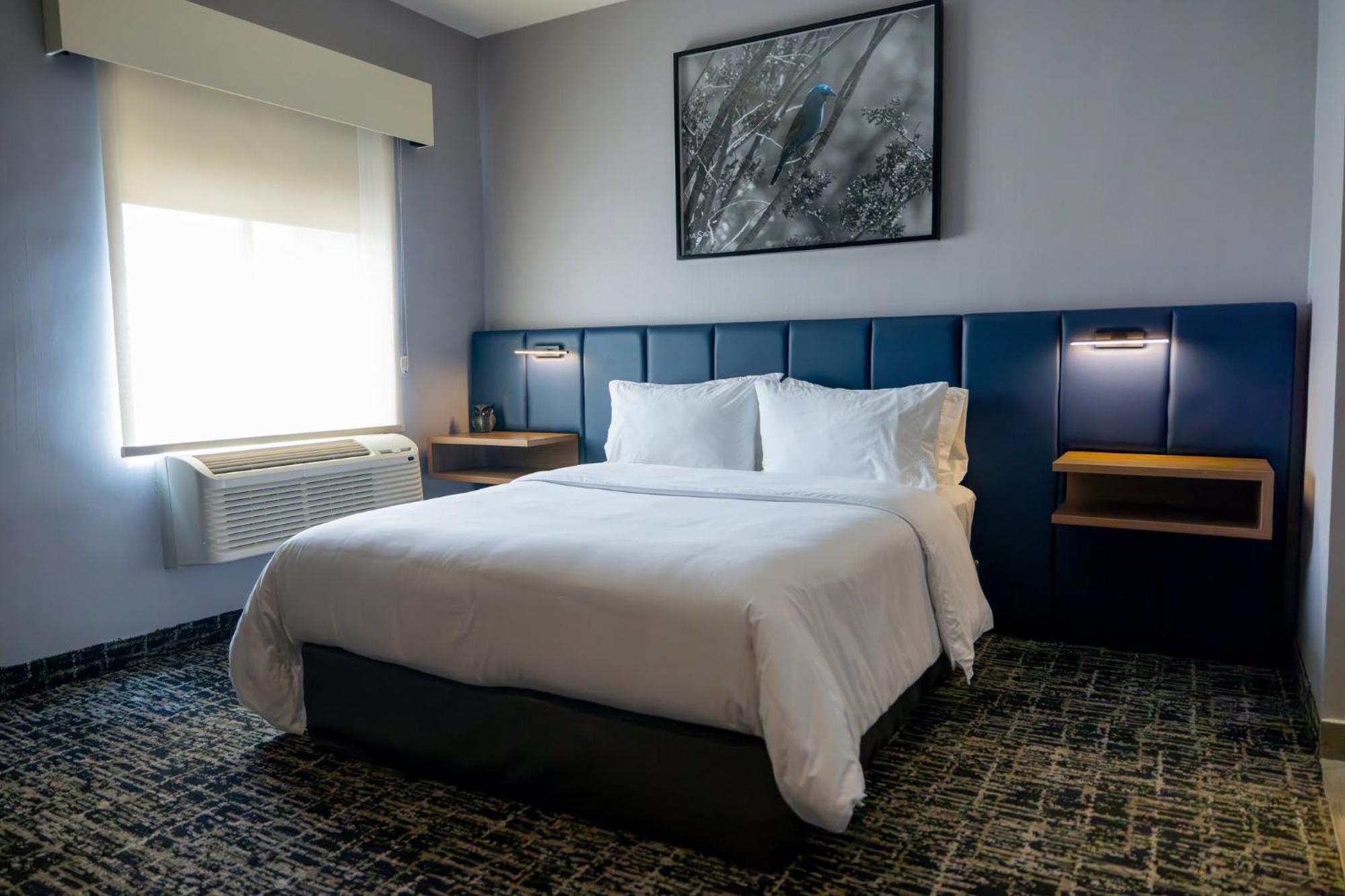 Voco Saltillo Suites By Ihg エクステリア 写真