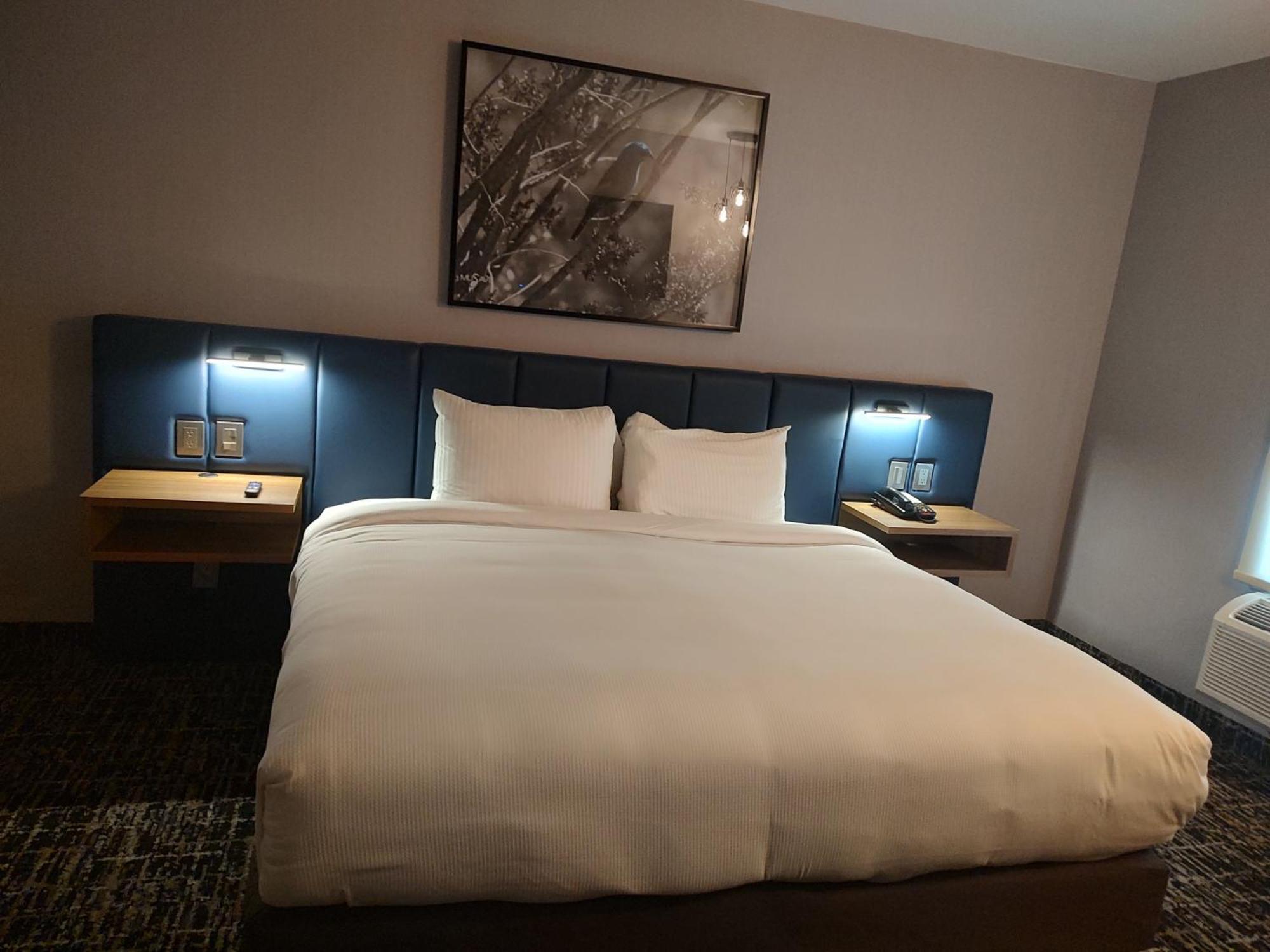 Voco Saltillo Suites By Ihg エクステリア 写真
