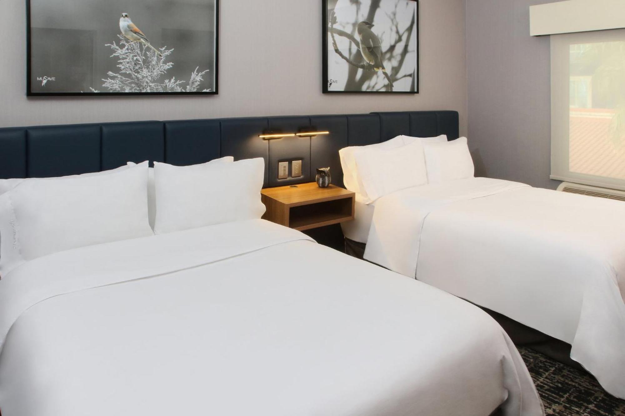 Voco Saltillo Suites By Ihg エクステリア 写真
