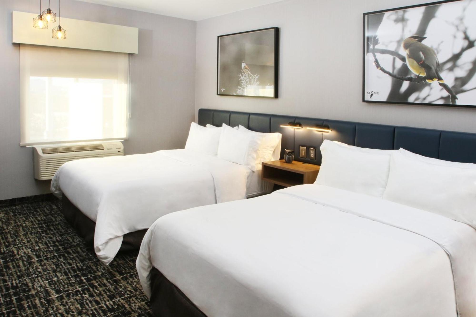 Voco Saltillo Suites By Ihg エクステリア 写真