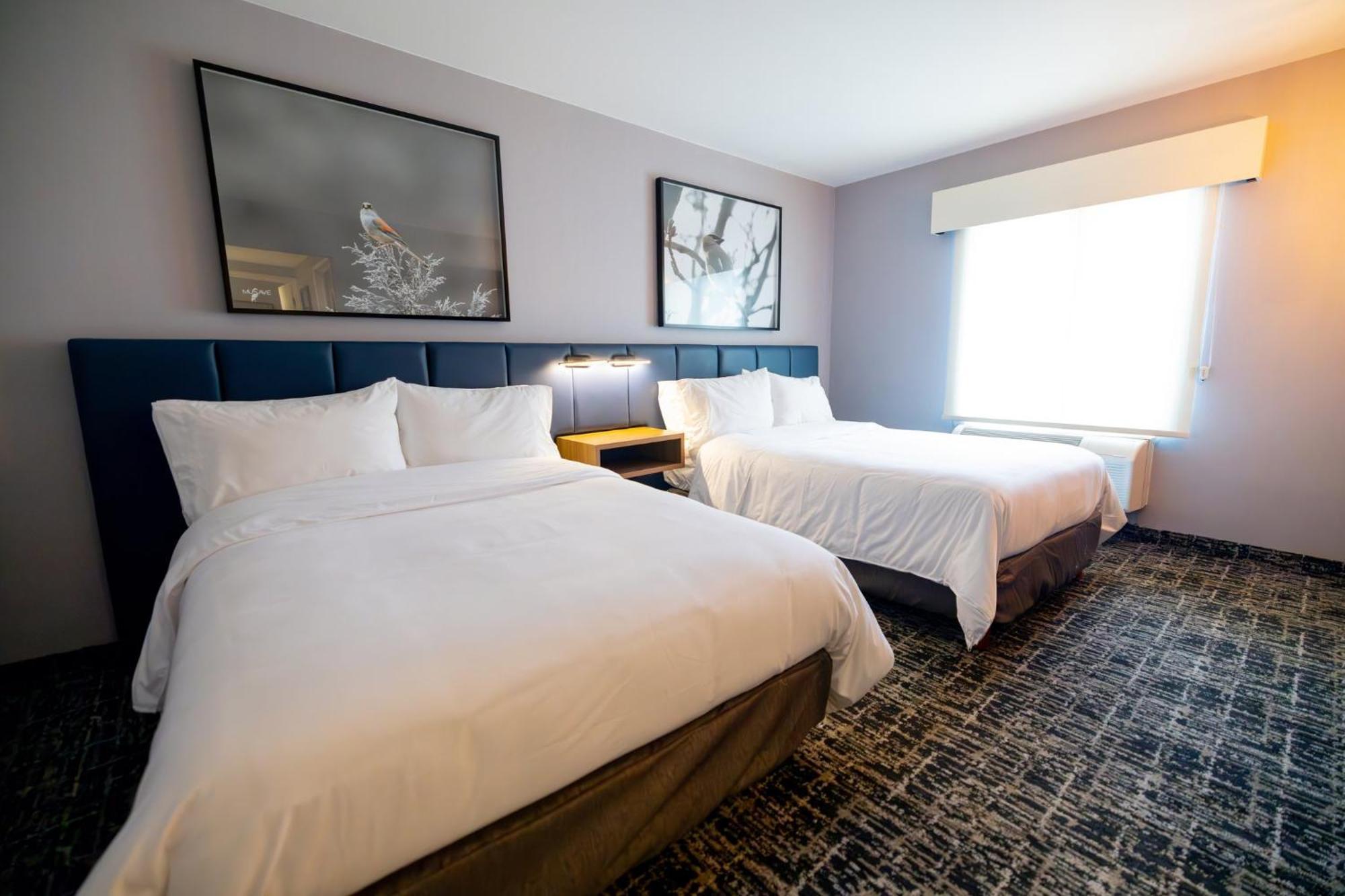Voco Saltillo Suites By Ihg エクステリア 写真