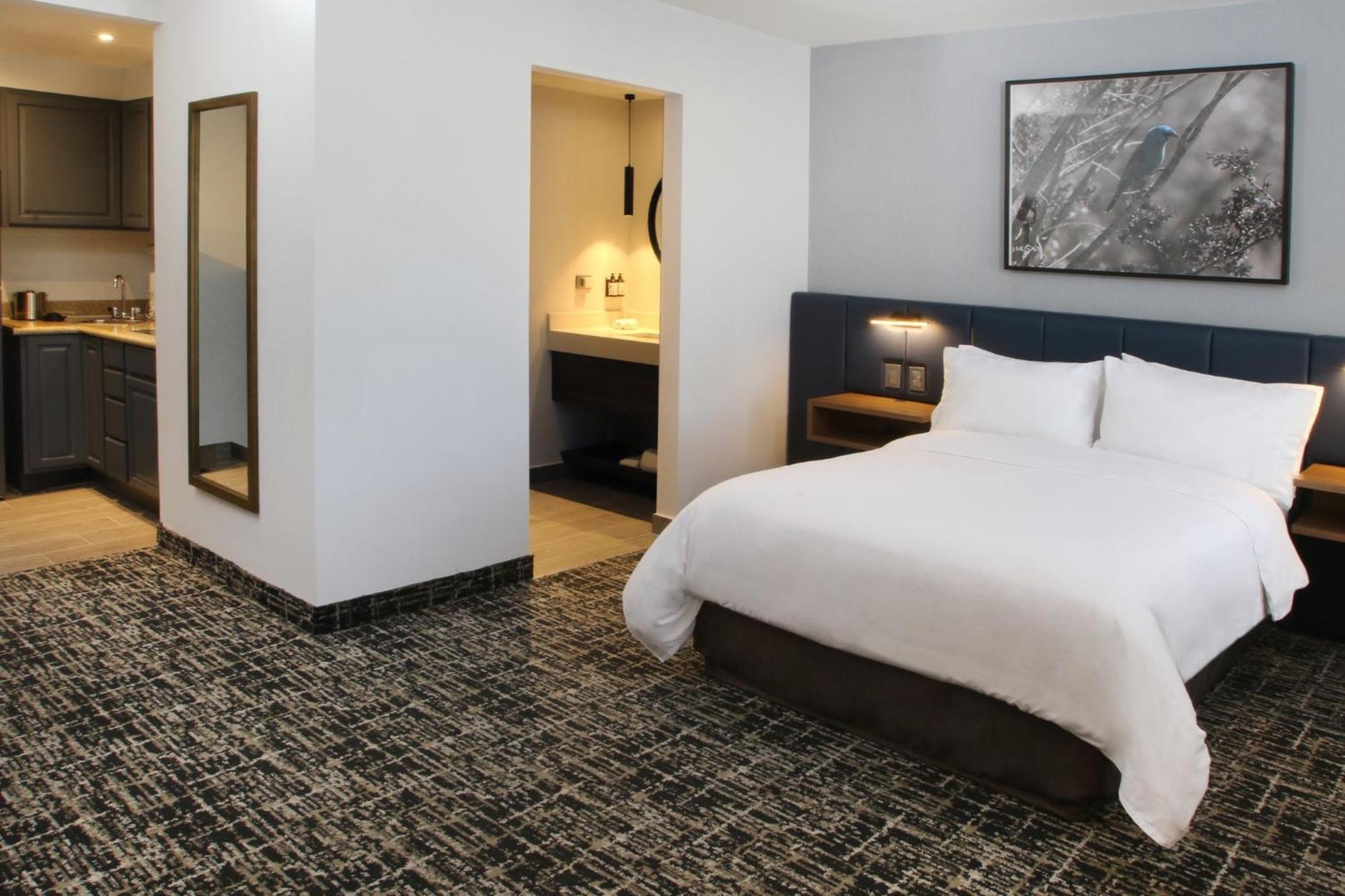 Voco Saltillo Suites By Ihg エクステリア 写真