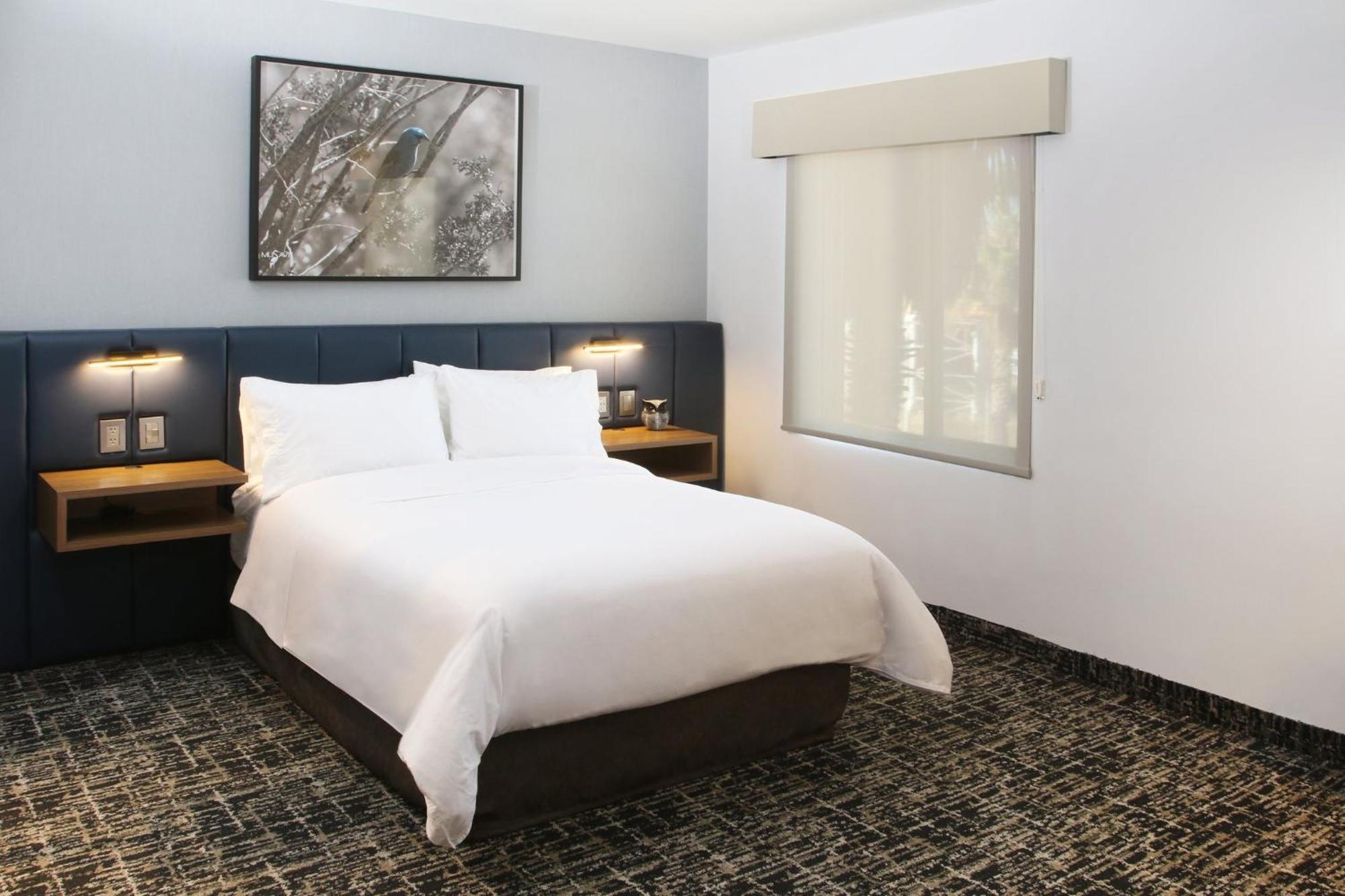 Voco Saltillo Suites By Ihg エクステリア 写真
